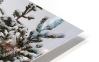 In Deep Snow HD Metal print