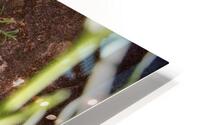 There You Are HD Metal print