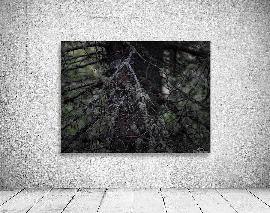 In Darkness Wall Preview
