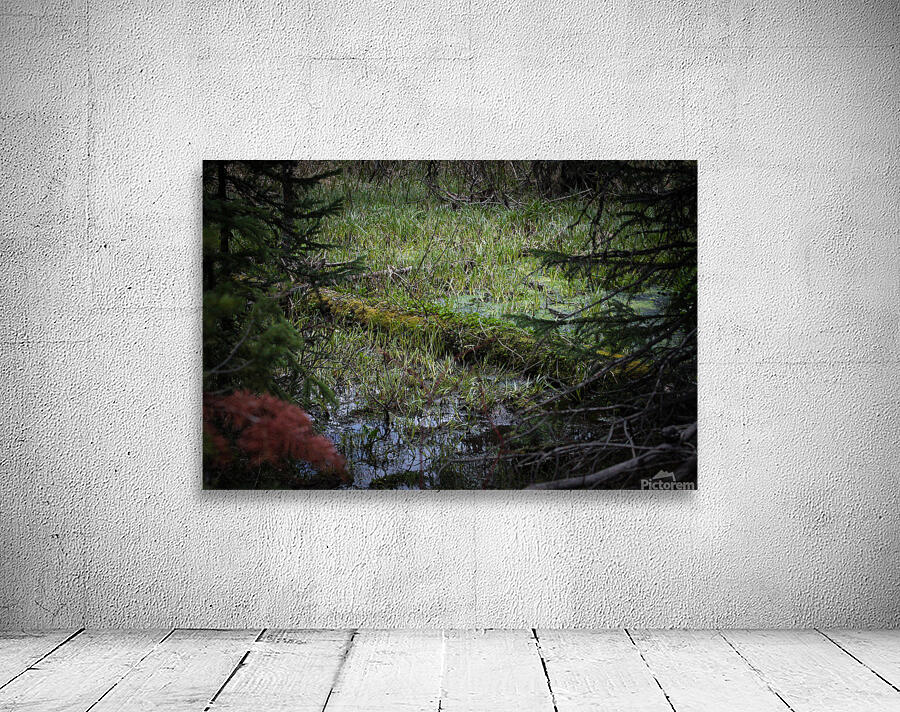 In The Marsh Wall Preview