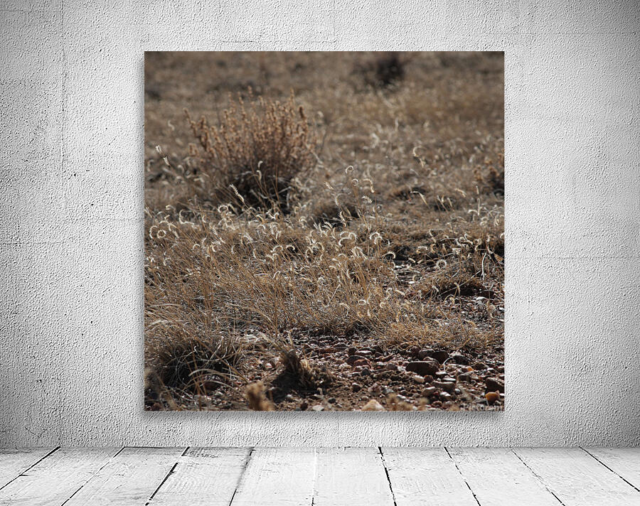 Grassy Day Wall Preview