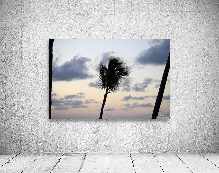 Morning Breeze Wall Preview