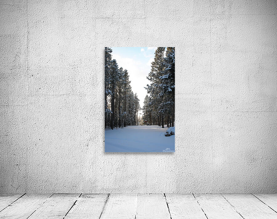 Quiet View Wall Preview