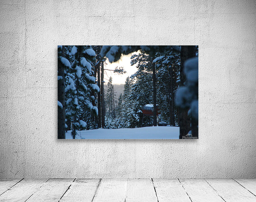 Out There Wall Preview