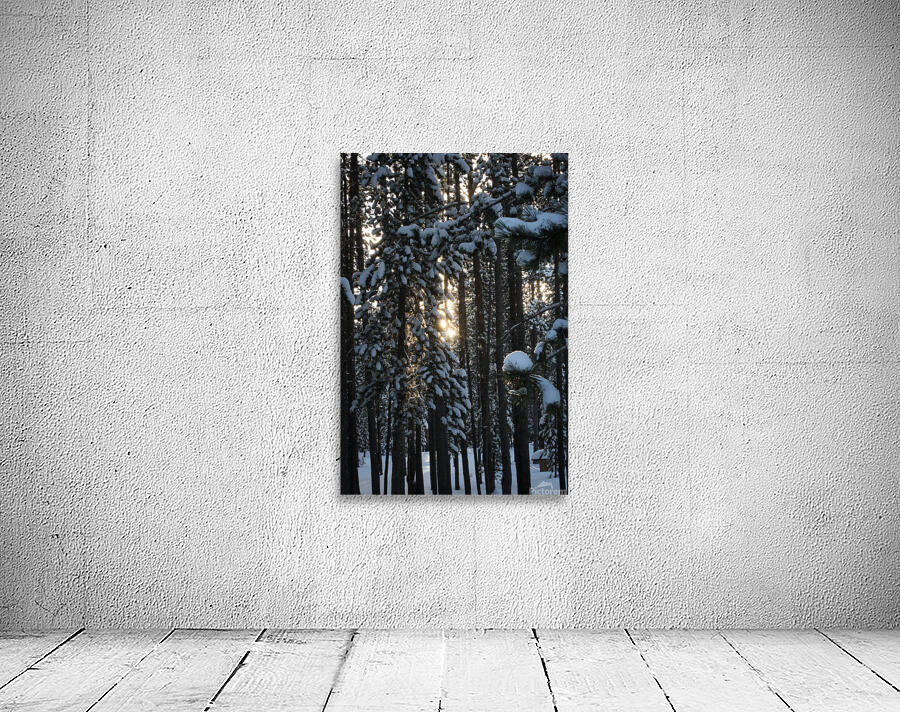 Snow Falls Wall Preview