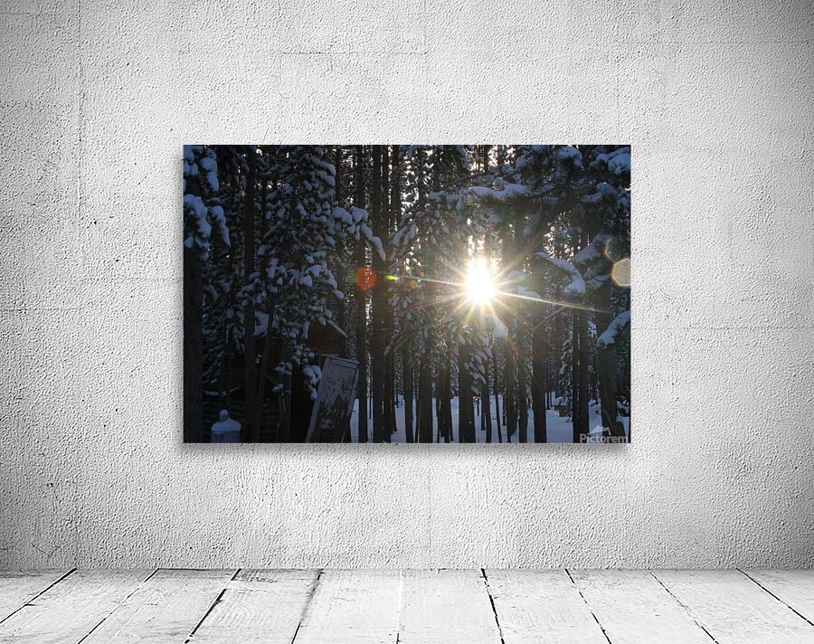 Cold Sun Wall Preview