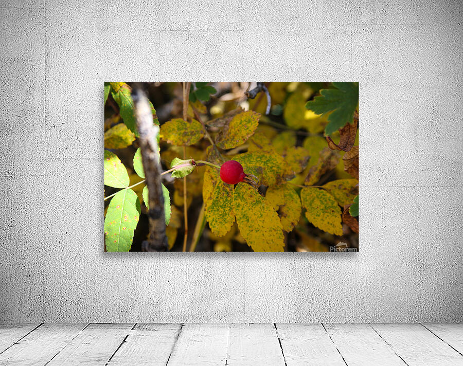Wild Bud Wall Preview