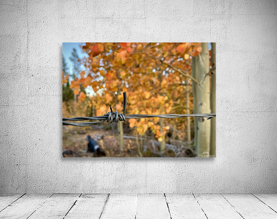 Autumn Wire Wall Preview