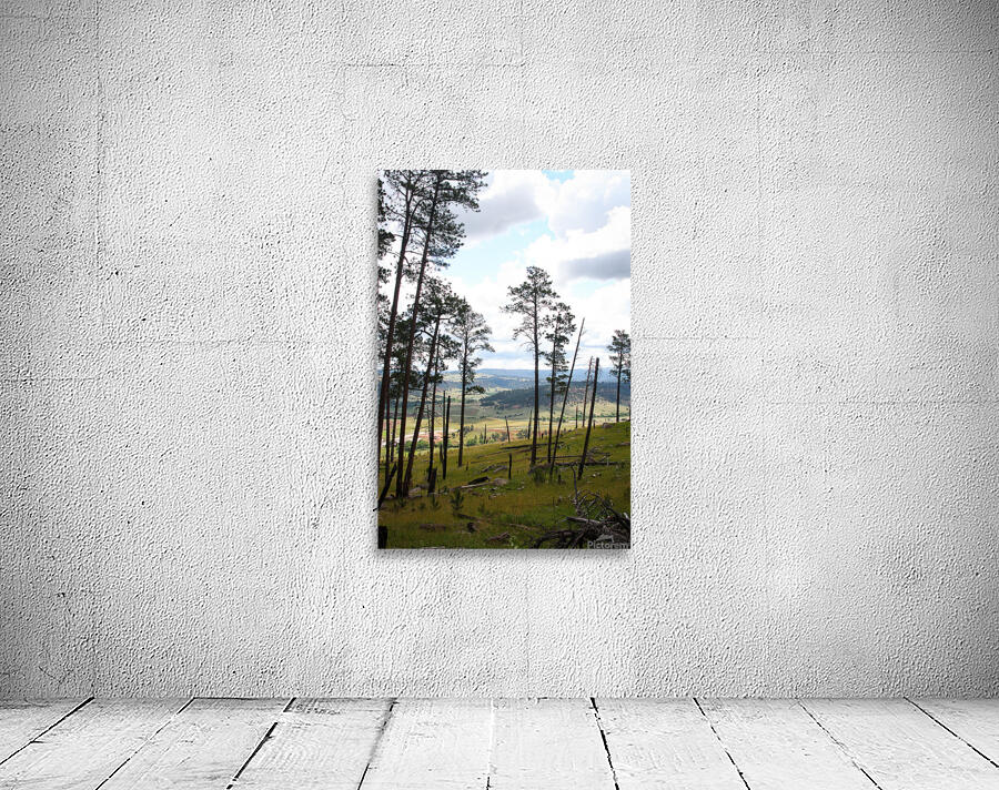 On The Other Side Wall Preview