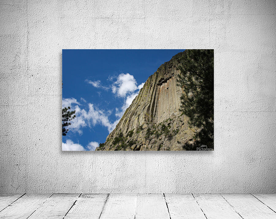 With The Sky Wall Preview