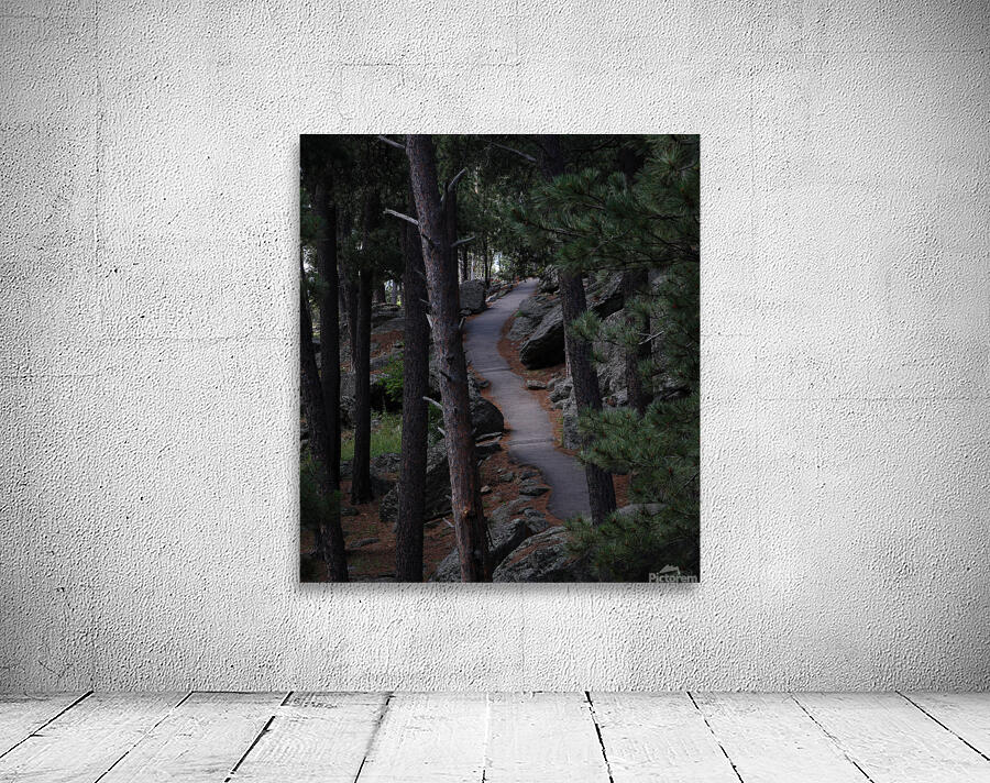 The Path Wall Preview