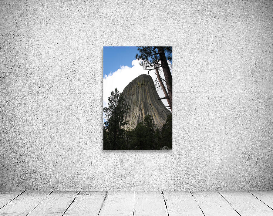 From Here Wall Preview