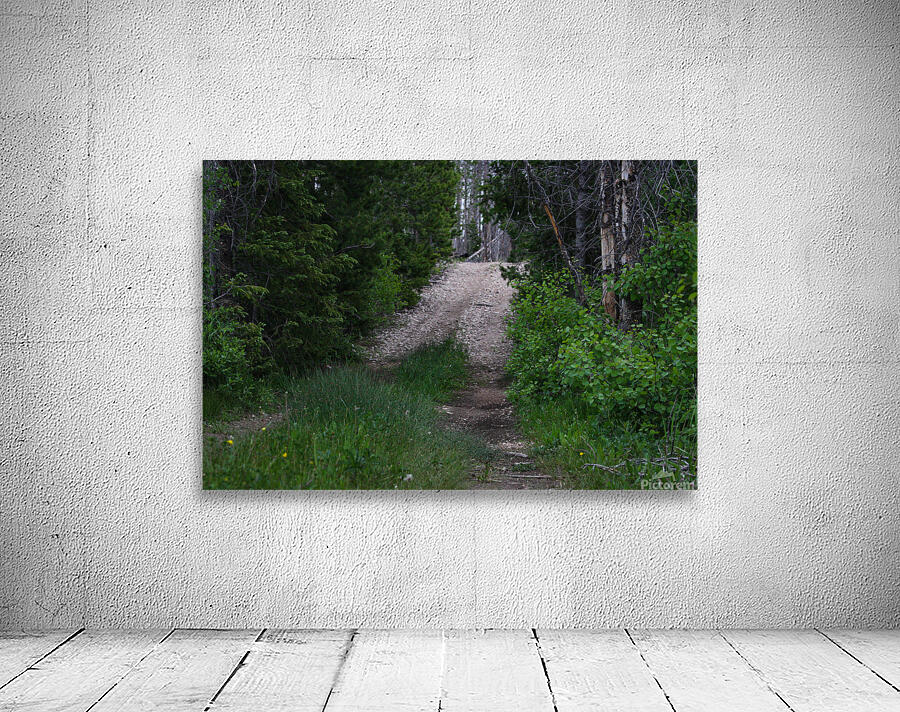Narrow Path Wall Preview