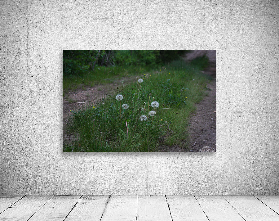 Smell the Flowers Wall Preview