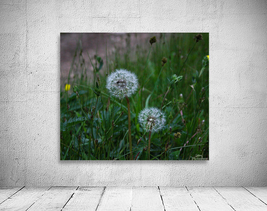 White and Green Wall Preview