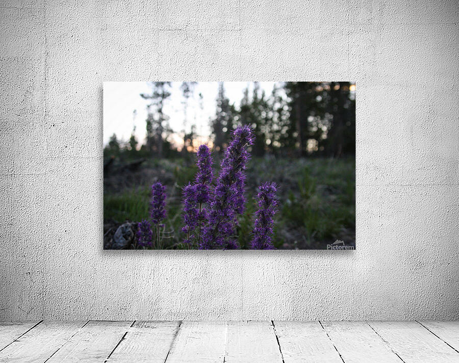 Blue Alpine Sunset Wall Preview