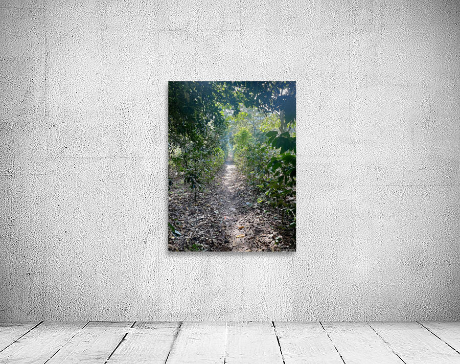 Through Coffee Plantations Wall Preview