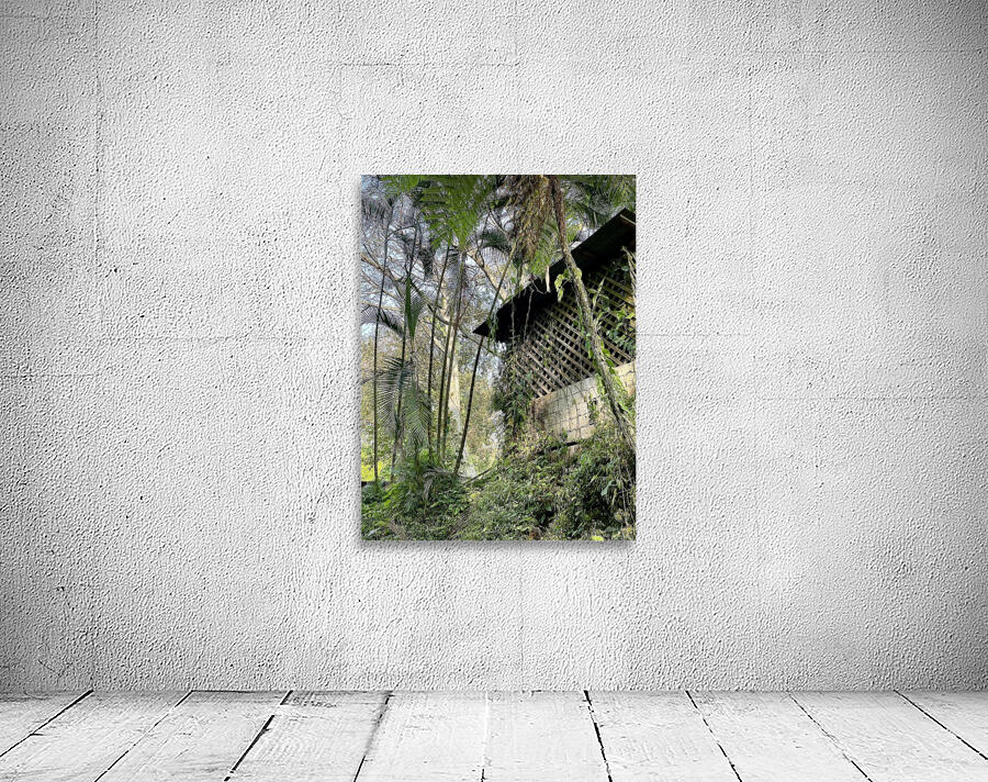 Shack In Vines Wall Preview