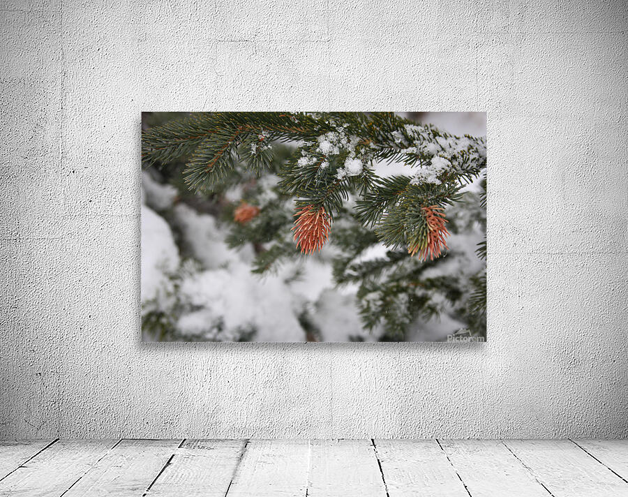 Hanging In There Wall Preview