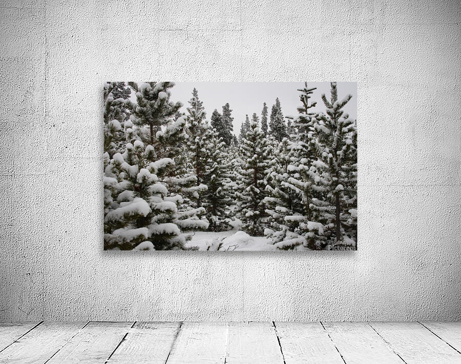 In Deep Snow Wall Preview