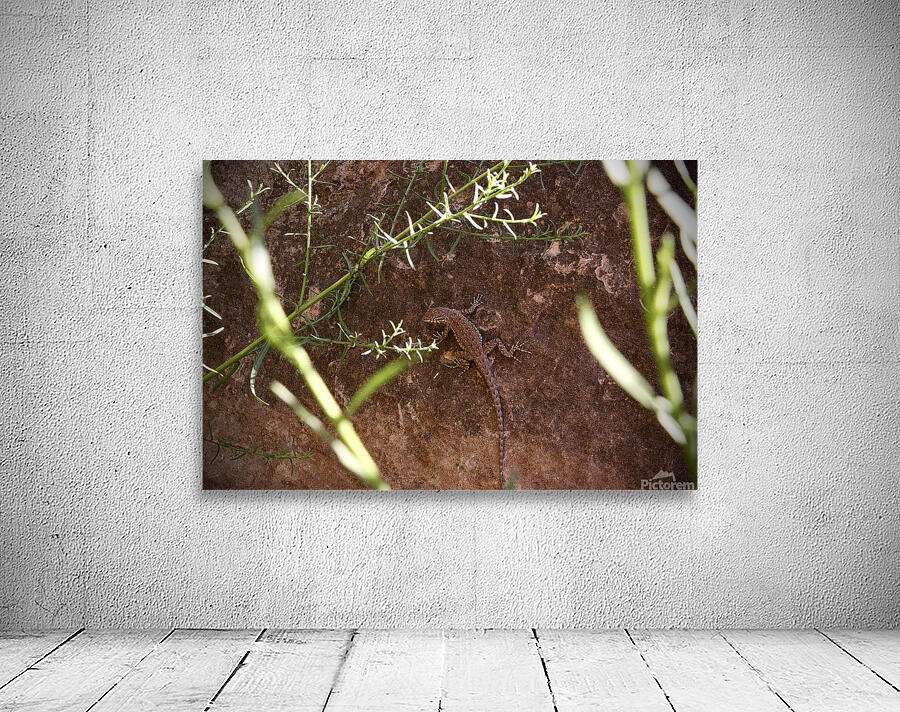 There You Are Wall Preview