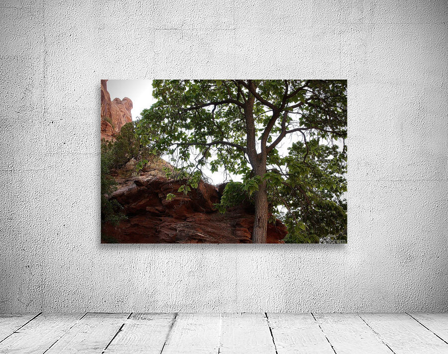 In Shade Wall Preview