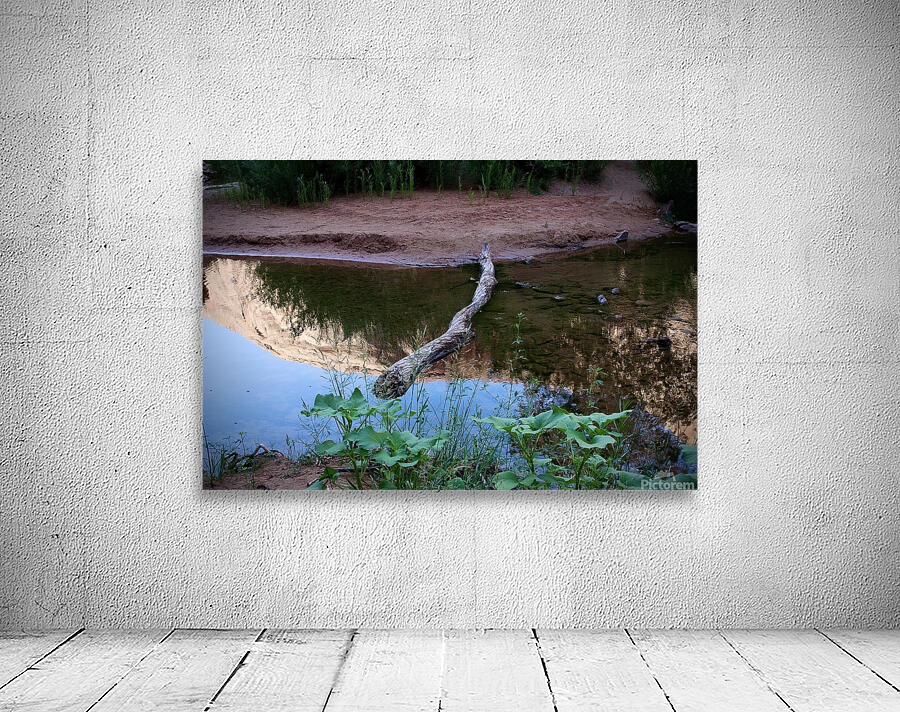 In The Stream Wall Preview