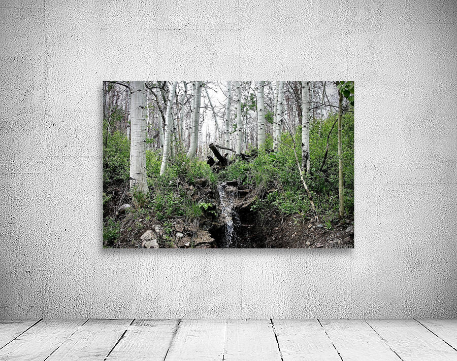 A Green and Cloudy Day Wall Preview
