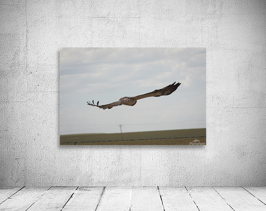 Take Flight Wall Preview