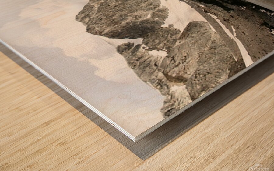 Floating Along Wood print