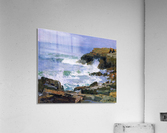 Looking out to Sea Acrylic Print