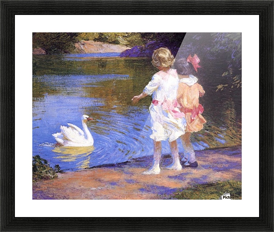 The Swan Picture Frame print