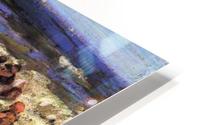 Surf Bathing Impression metal HD