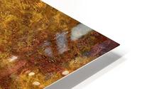 In Central Park HD Metal print
