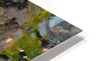 Field with rocks HD Metal print