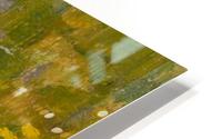 Rocky fields HD Metal print