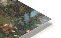 Bridal Path HD Metal print