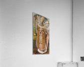 Saint Ildefonsus Acrylic Print