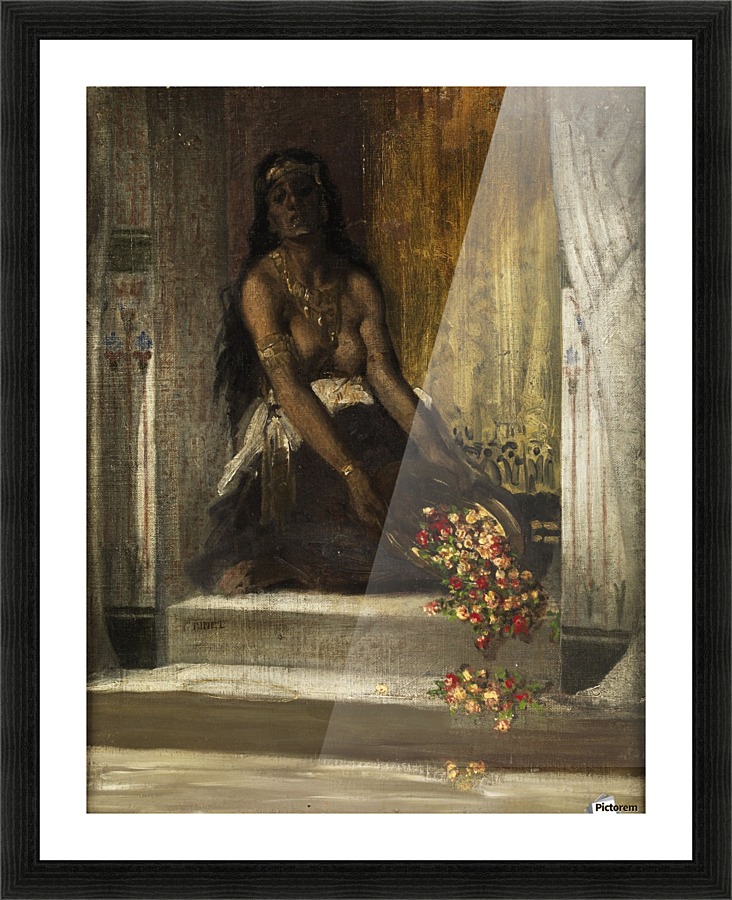Haremsdame Picture Frame print