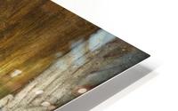 Haremsdame HD Metal print