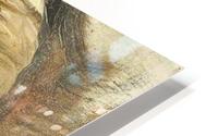Dinet arab HD Metal print