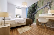 Standing Alone Mural print