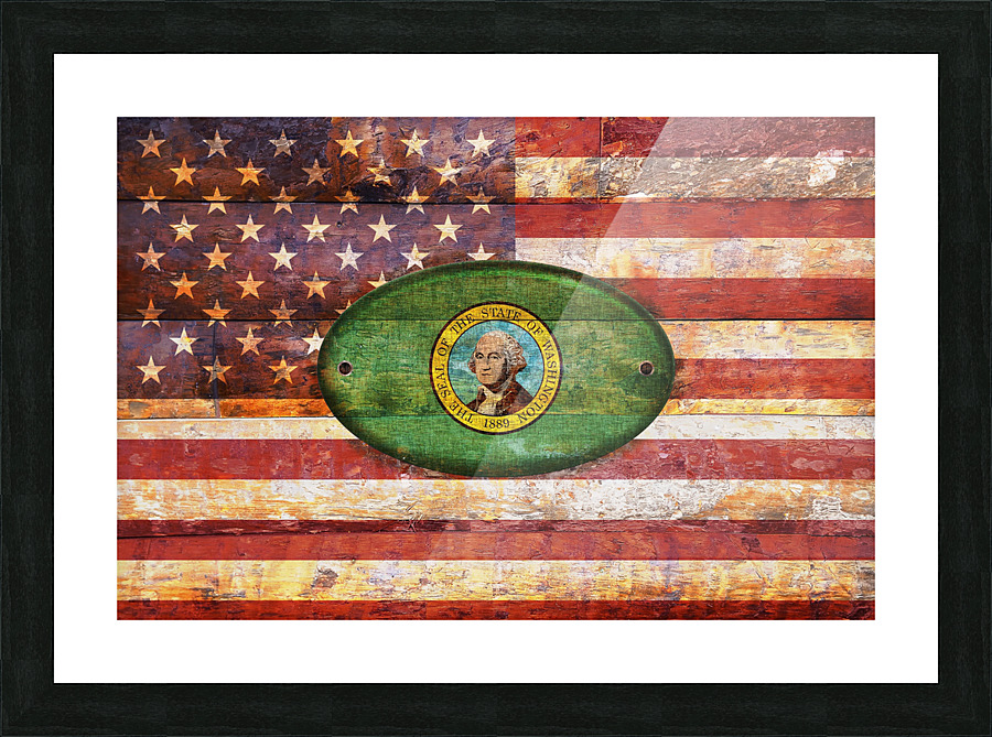 Washington flag Picture Frame print