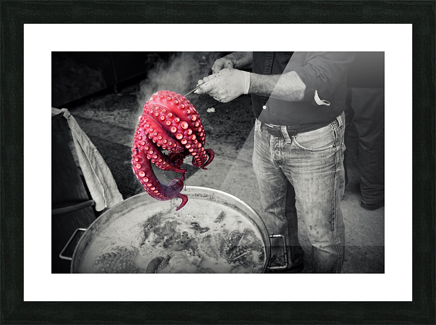 Octopus. Picture Frame print