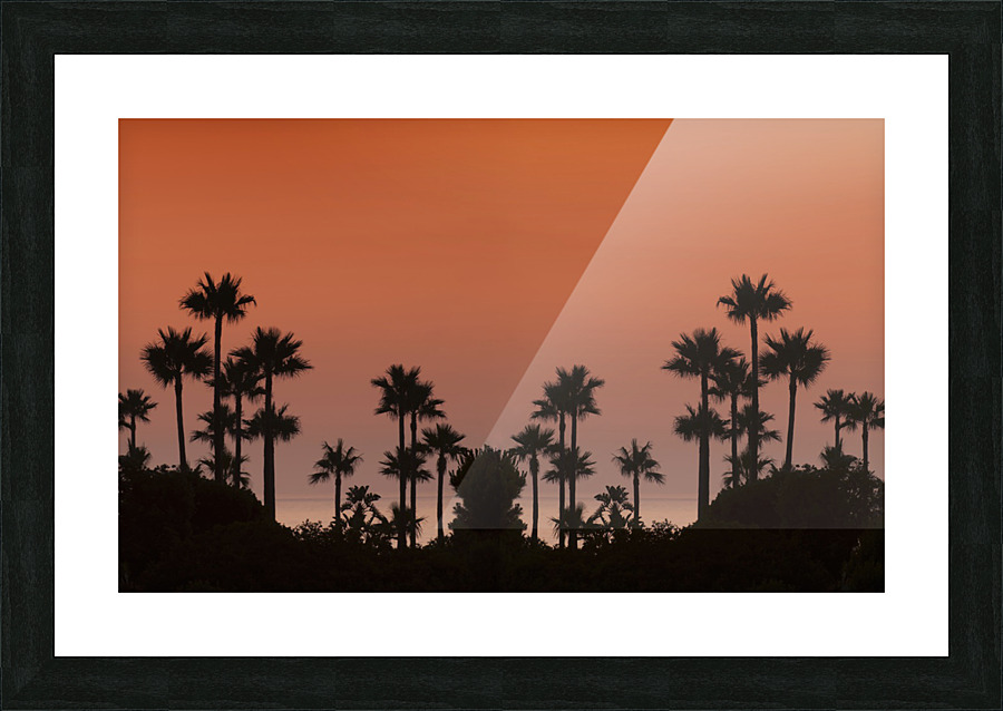 Sunset with palms Picture Frame print
