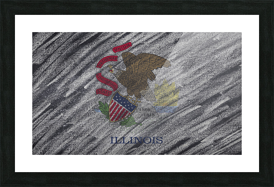 Illinois flag Picture Frame print