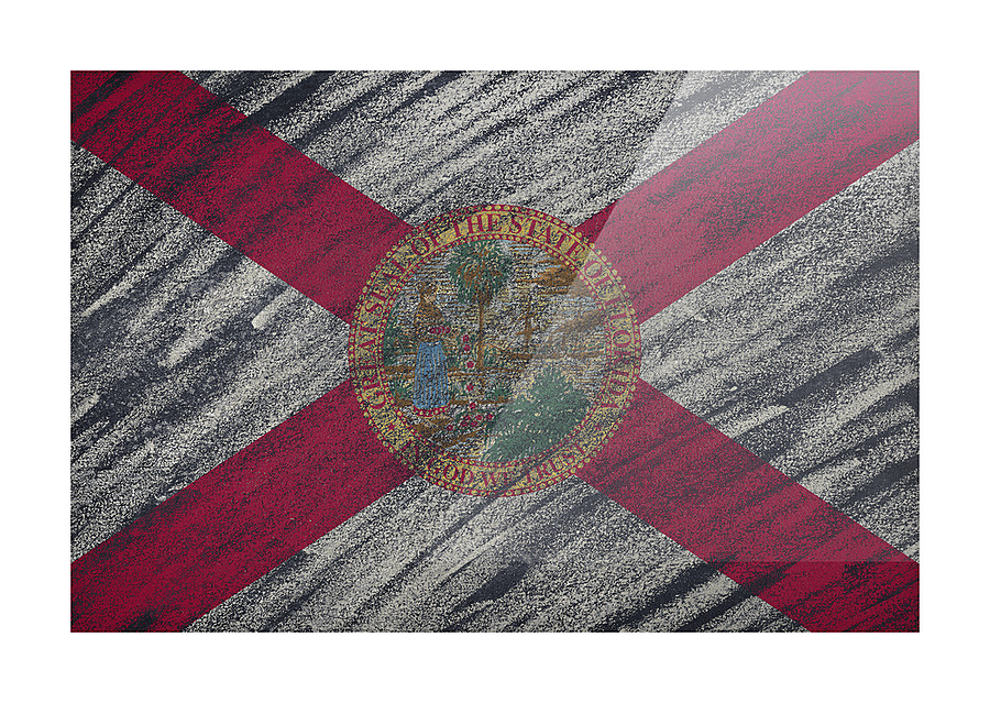 Florida flag Picture Frame print