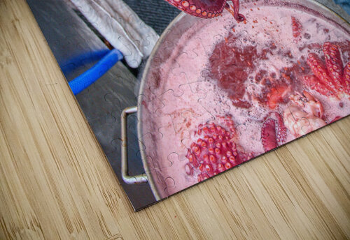 Octopus CreativePhotoSpain puzzle