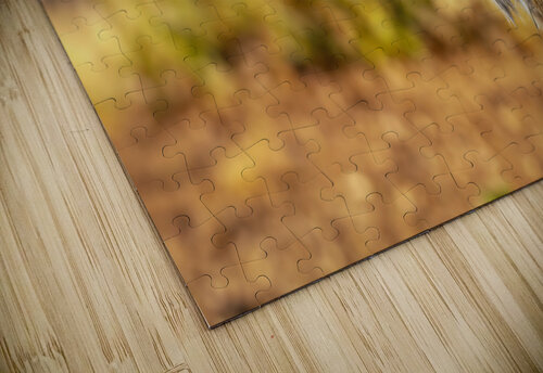 Iberian lynx CreativePhotoSpain puzzle