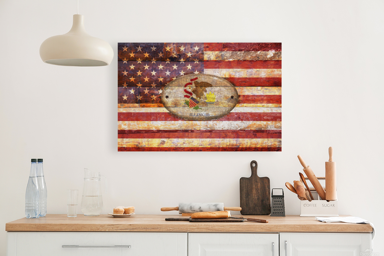 Illinois flag Reproduction